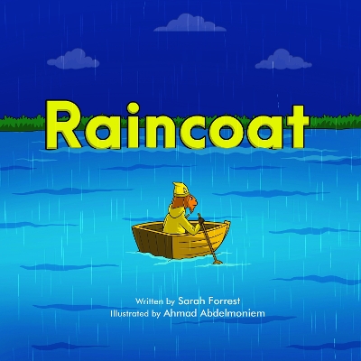 Book cover for Raincoat