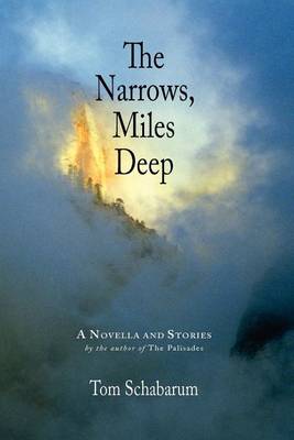 Book cover for The Narrows, Miles Deep