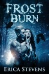 Book cover for Frost Burn