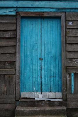 Book cover for Blue Door on a Rustic Old Barn