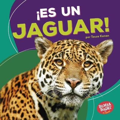 Book cover for ¡es Un Jaguar! (It's a Jaguar!)