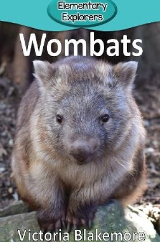 Cover of Wombats