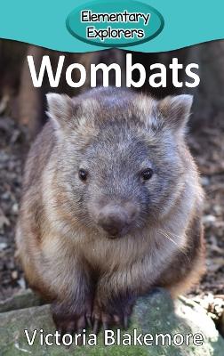 Cover of Wombats