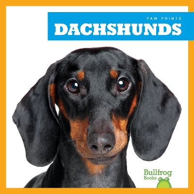 Book cover for Dachshunds