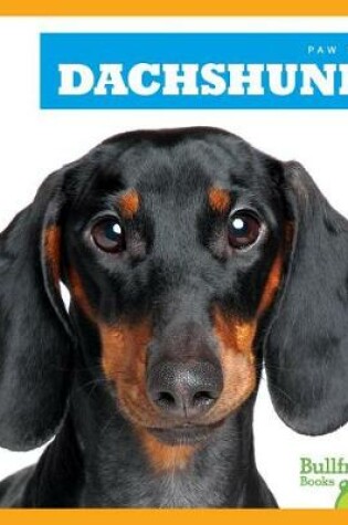 Cover of Dachshunds