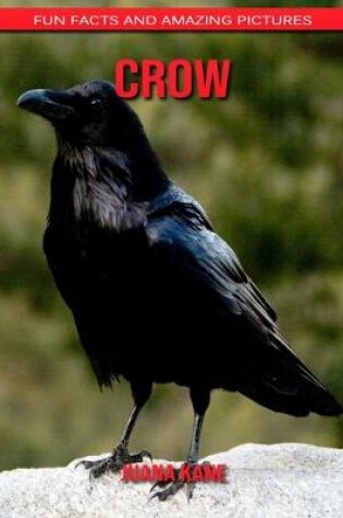 Cover of Crow