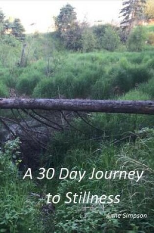 Cover of A 30 Day Journey to Stillness