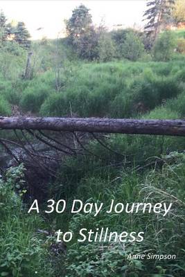 Book cover for A 30 Day Journey to Stillness