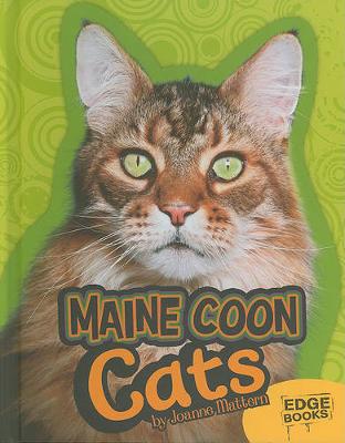 Cover of Maine Coon Cats