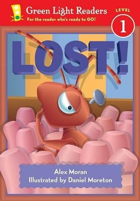 Book cover for Lost!