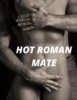 Book cover for Hot Roman Mate