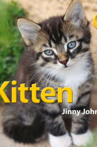 Cover of My New Pet: Kitten