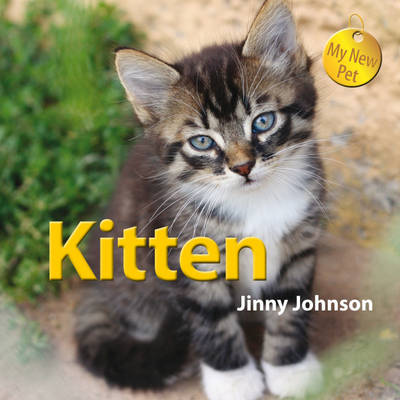 Book cover for My New Pet: Kitten