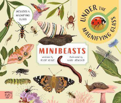 Book cover for Minibeasts: Under the Magnifying Glass