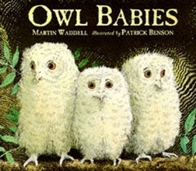 Book cover for Owl Babies