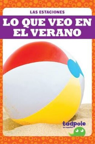 Cover of Lo Que Veo En El Verano (What I See in Summer)