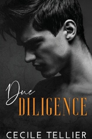 Cover of Due Diligence