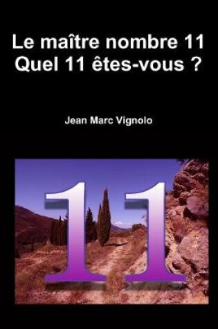 Cover of Le maitre nombre 11 : Quel 11 etes-vous ?