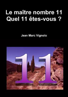 Book cover for Le maitre nombre 11 : Quel 11 etes-vous ?