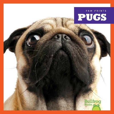 Book cover for Pugs