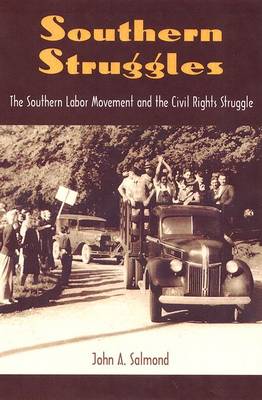 Book cover for Southern Struggles