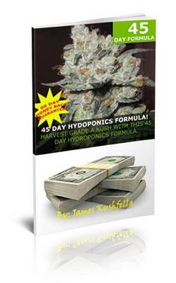 Book cover for 45 Day Hydroponics Formula