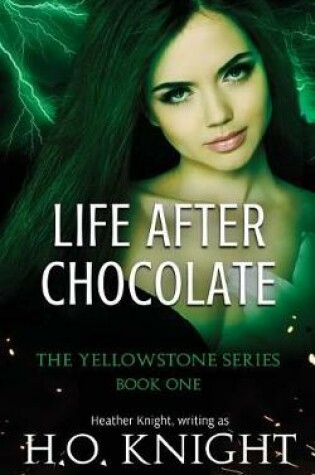 Cover of Life After Chocolate
