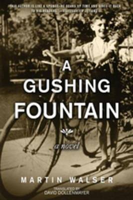 Book cover for A Gushing Fountain