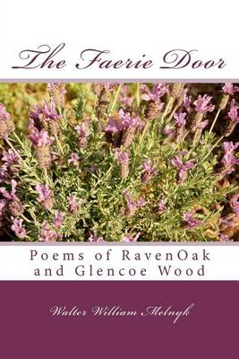 Book cover for The Faerie Door