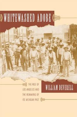 Book cover for Whitewashed Adobe