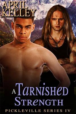 Book cover for A Tarnished Strength