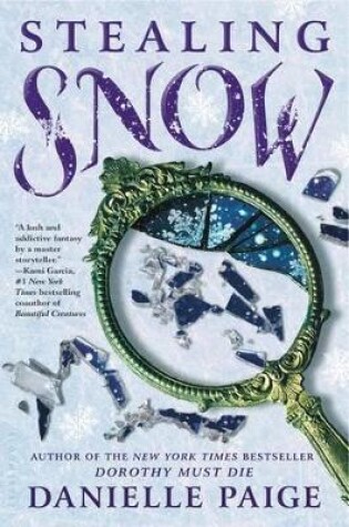 Cover of Stealing Snow