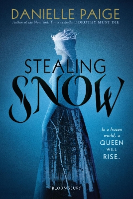 Book cover for Stealing Snow