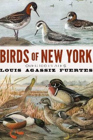 Cover of Birds of New York