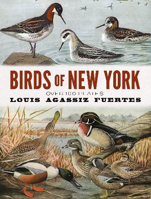 Book cover for Birds of New York