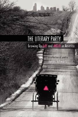 Book cover for The Literary Party