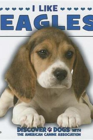 Cover of I Like Beagles!