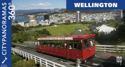 Cover of Wellington