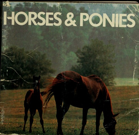 Book cover for Horses & Ponies