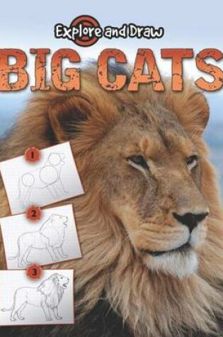 Cover of Big Cats