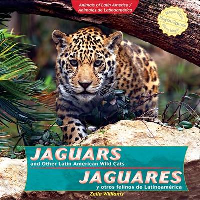 Book cover for Jaguars and Other Latin American Wild Cats / Jaguares Y Otros Felinos de Latinoamérica