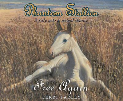 Book cover for Phantom Stallion