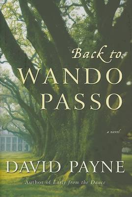 Book cover for Back to Wando Passo