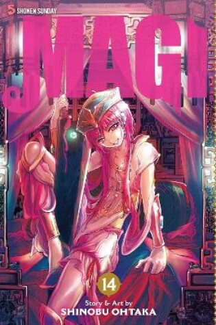 Cover of Magi: The Labyrinth of Magic, Vol. 14