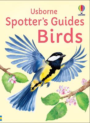 Cover of Spotter's Guides: Birds