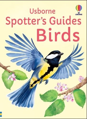 Cover of Spotter's Guides: Birds