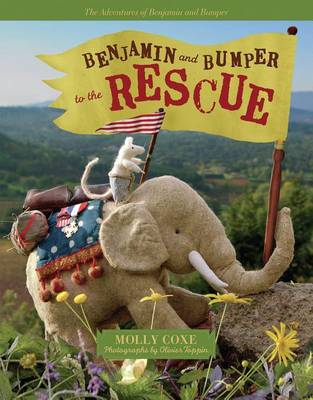 Book cover for Benjamin and Bumper to the Rescue