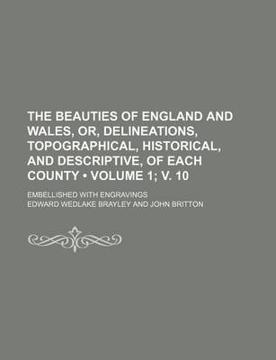 Book cover for The Beauties of England and Wales, Or, Delineations, Topographical, Historical, and Descriptive, of Each County (Volume 1; V. 10); Embellished with Engravings