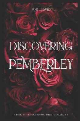 Book cover for Discovering Pemberley