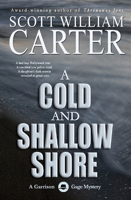 Book cover for A Cold and Shallow Shore